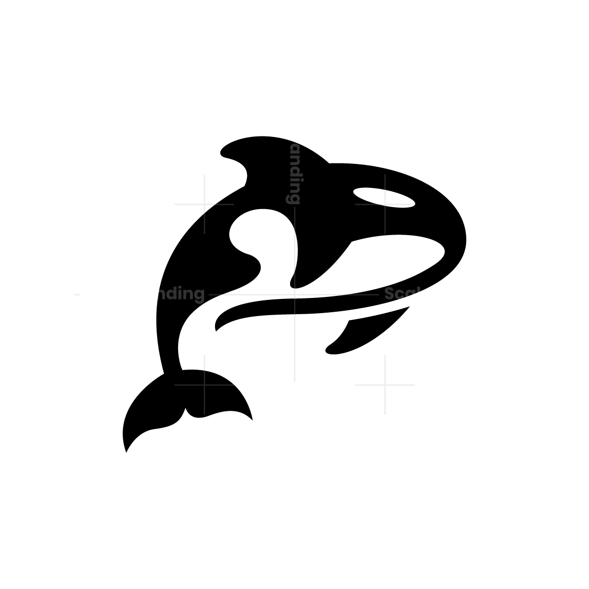 Orca Logo | Scalebranding